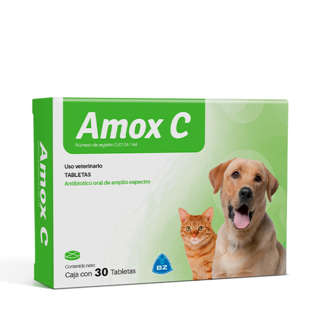 AMOX C- 30 TABLETAS