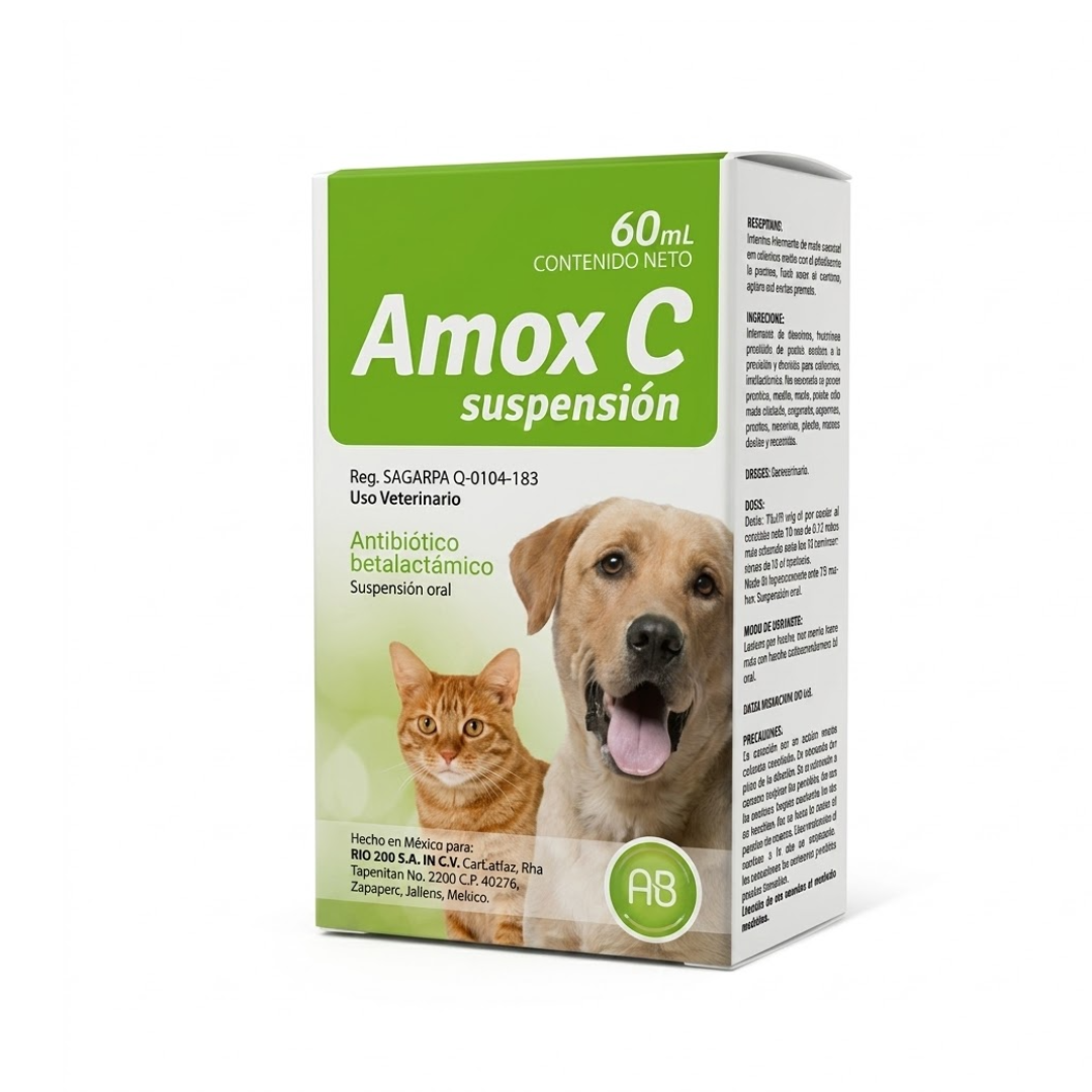 AMOX C- SUSPENSIÓN