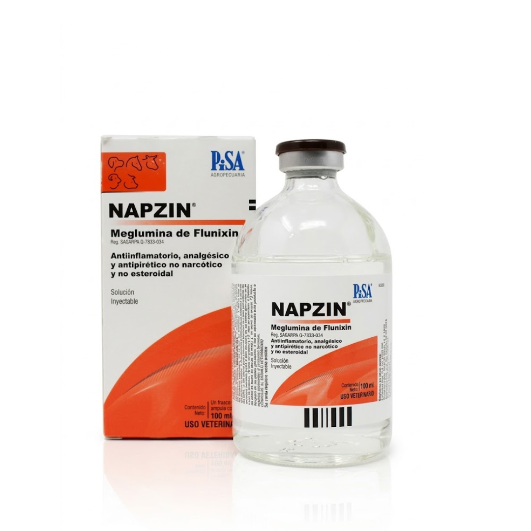 NAPZIN - PISA