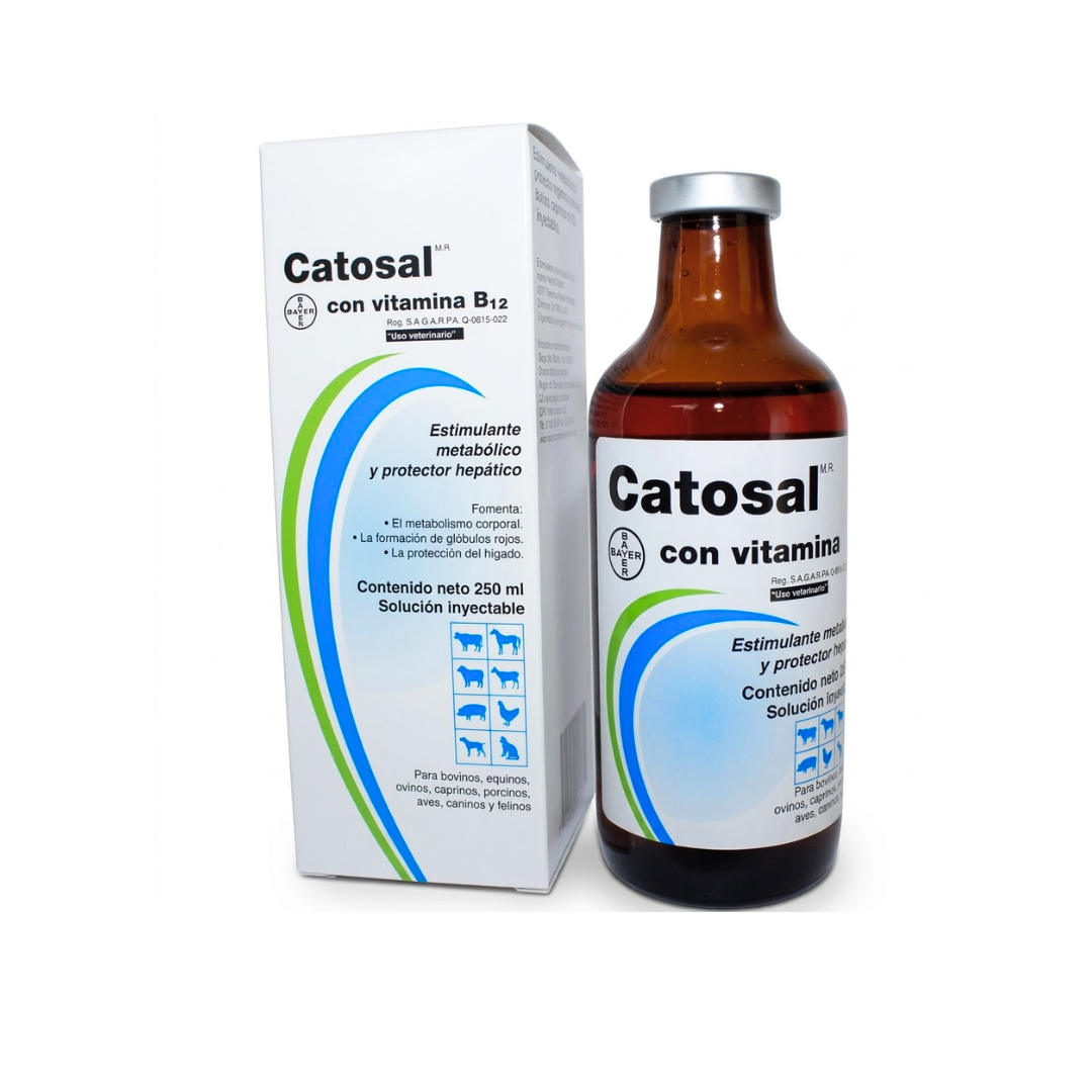 Catosal® 10% con Vitamina B12