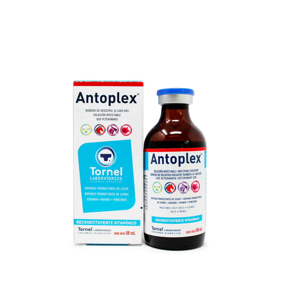 ANTOPLEX INYECTABLE - TORNEL