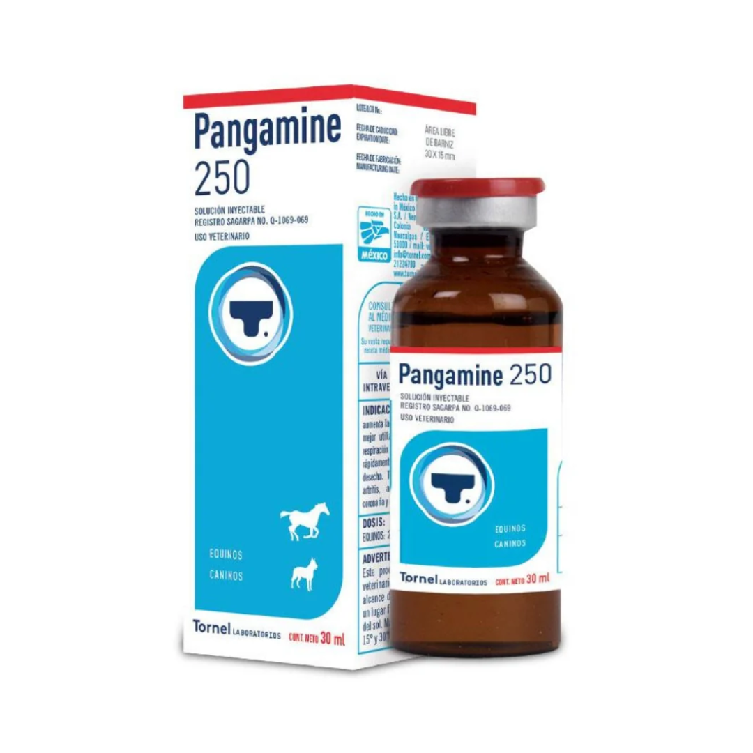 PANGAMINE 250 VIT B-15- TORNEL