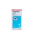 PANGAMINE 250 VIT B-15- TORNEL