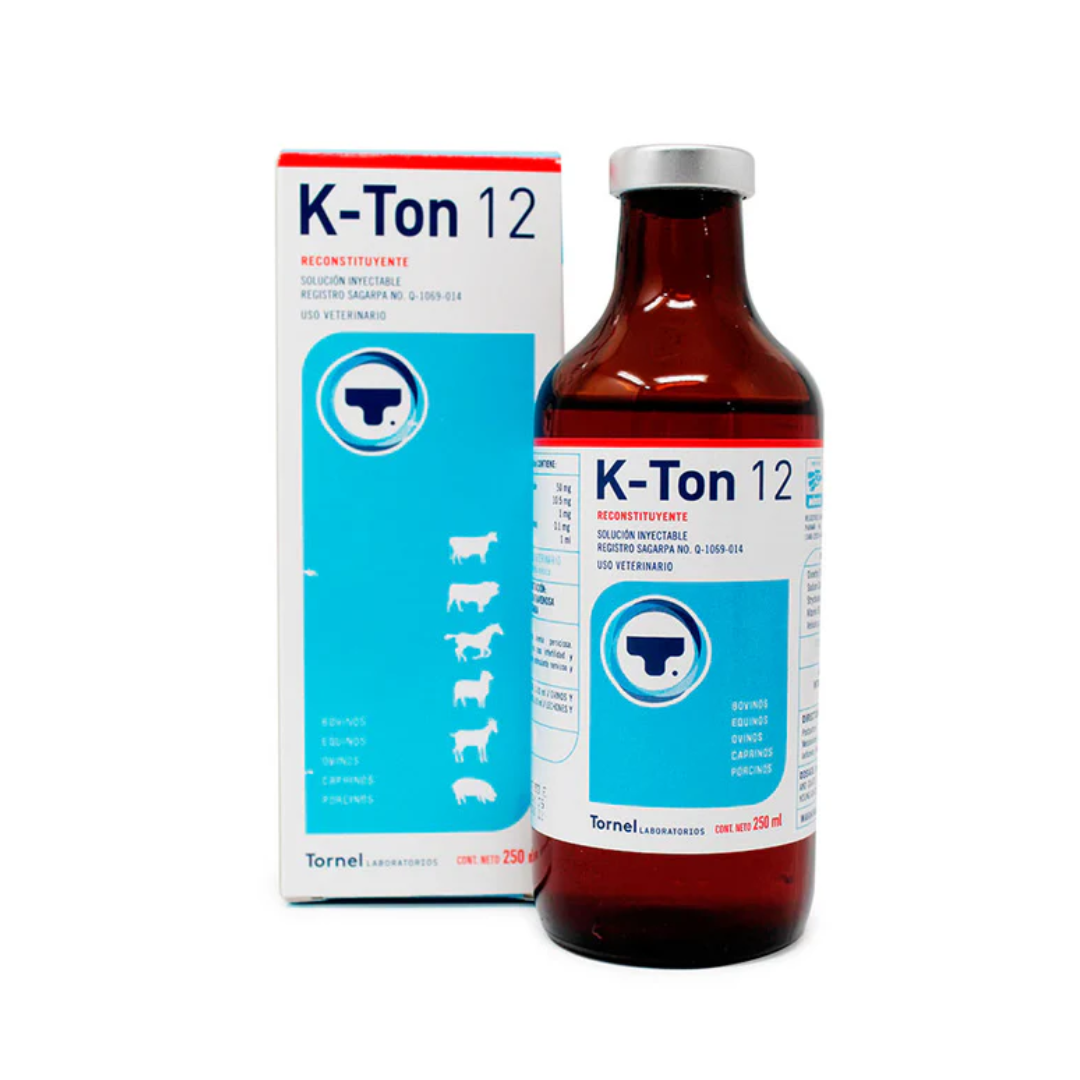 K-TON 12- TORNEL