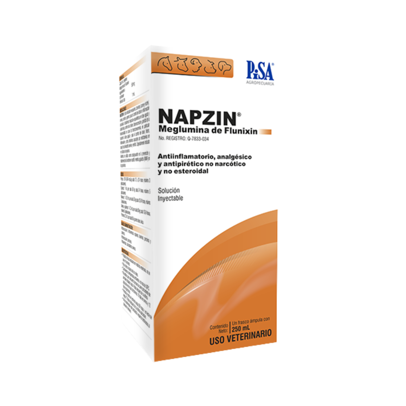 NAPZIN - PISA
